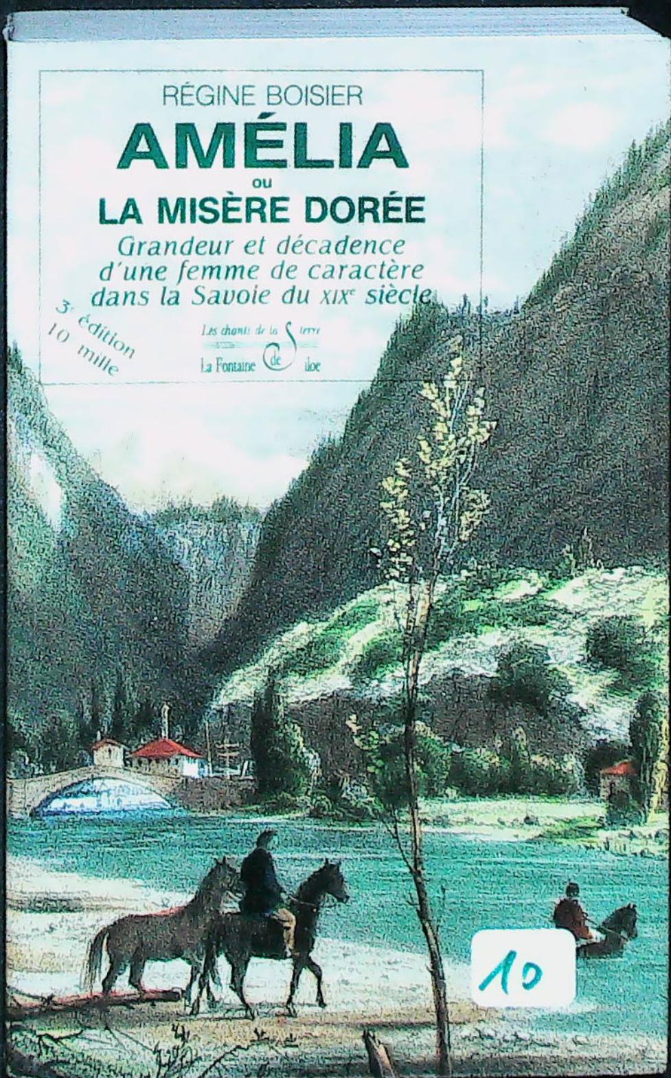 Amélia ou la misère dorée T.1 : livres pas cher d'occasion, de seconde main de l'association Lire et Créer