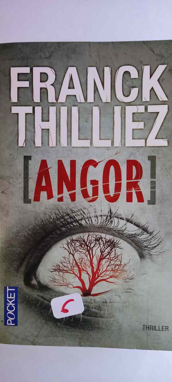 Angor : livres pas cher d'occasion, de seconde main de l'association Lire et Créer