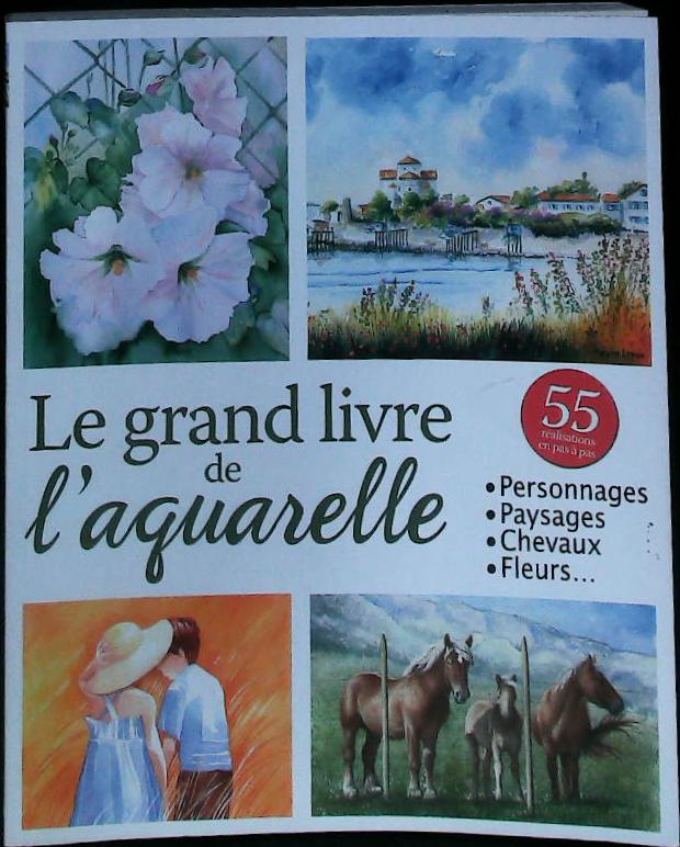 Le grand livre de l'aquarelle : livres pas cher d'occasion, de seconde main de l'association Lire et Créer