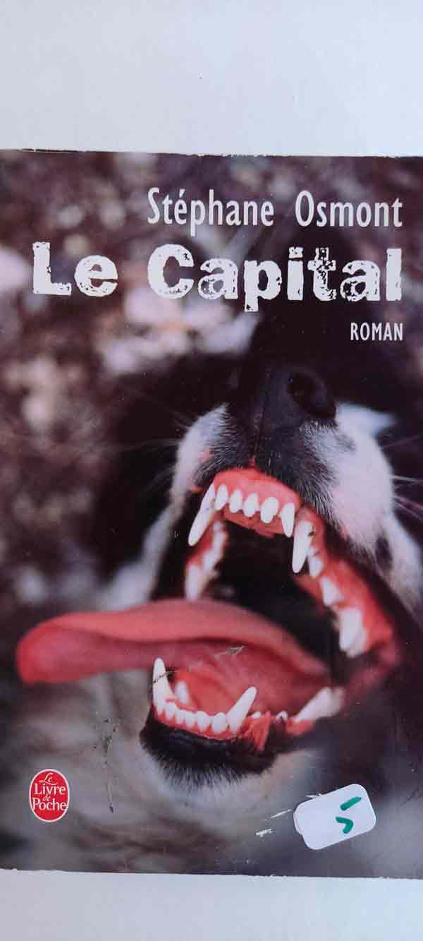 Le capital : livres pas cher d'occasion, de seconde main de l'association Lire et Créer