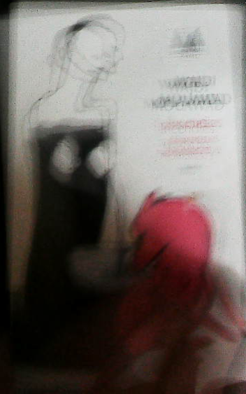 Image du produit IMG_0013.png de l'association Lire et Créer, livres pas cher et de seconde main