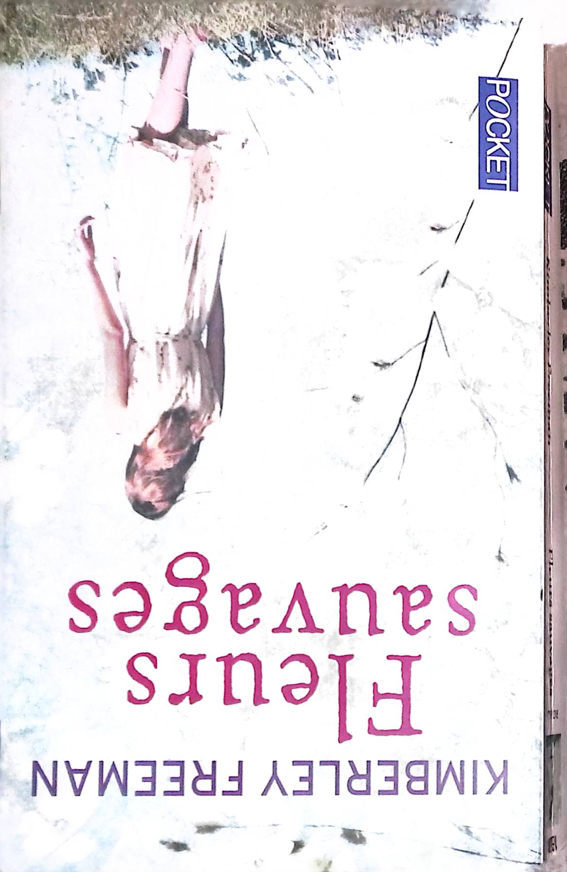 Image du produit IMG_2025_10_18_09_15_57S.jpg de l'association Lire et Créer, livres pas cher et de seconde main